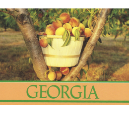 Paulding County: , Dallas , Hiram , New Georgia , New Hope , Yorkville , Cobb County : , Acworth , Kennesaw , Marietta, Douglasville County , Bartow County